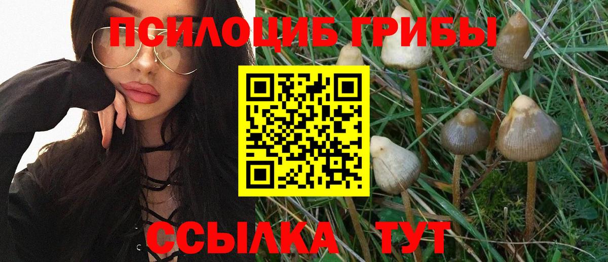 Галлюциногенные грибы Psilocybine cubensis  Псилоцибиновые грибы GOLDEN TEACHER  Спасск-Дальний  Вход с VPN 
